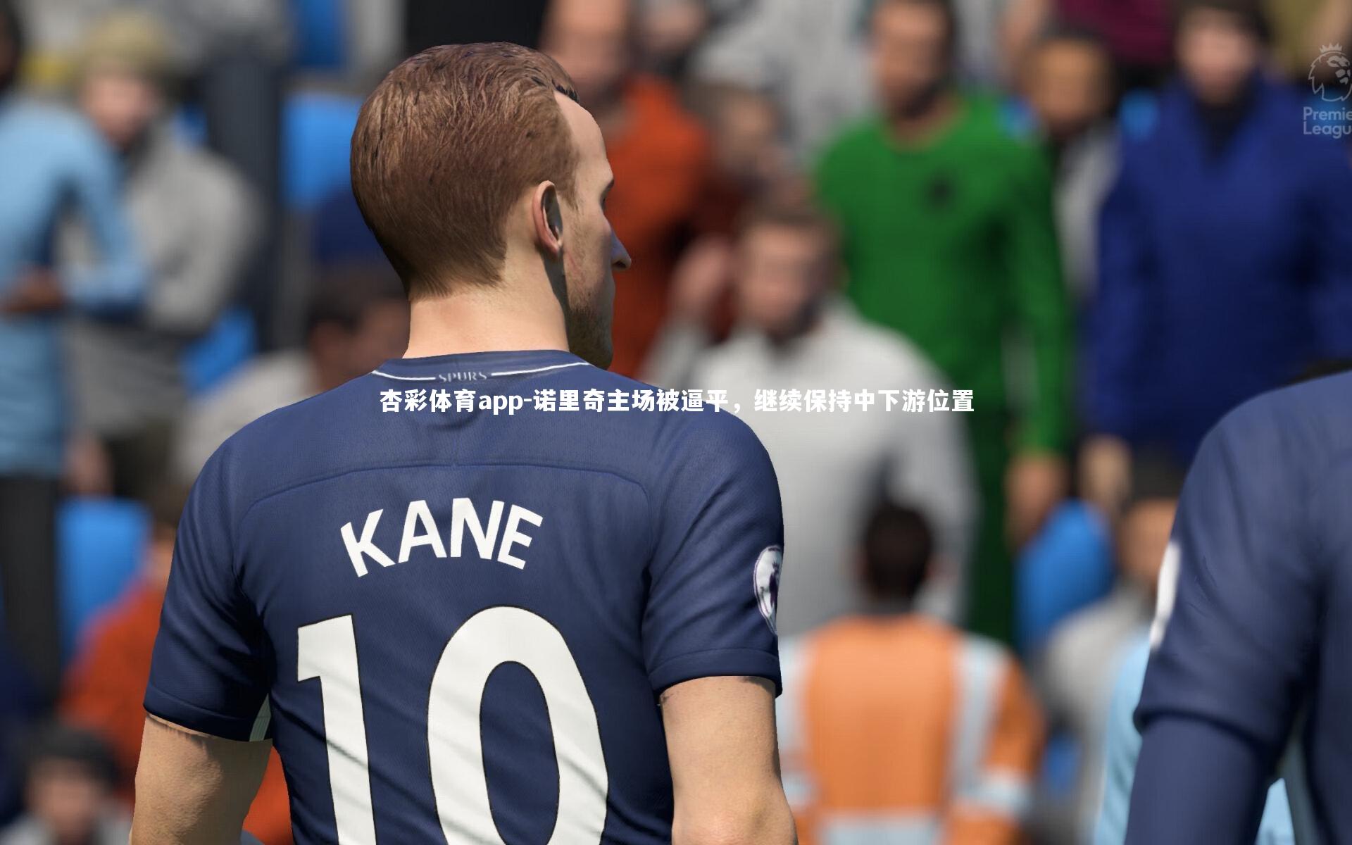 杏彩体育app-诺里奇主场被逼平，继续保持中下游位置