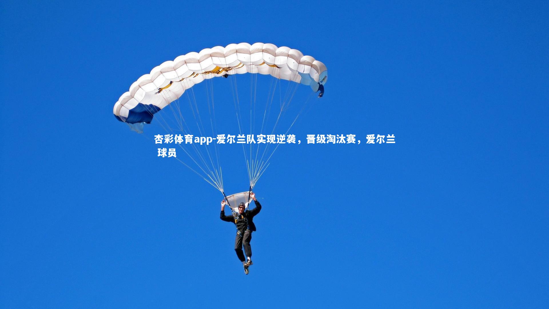 杏彩体育app-爱尔兰队实现逆袭，晋级淘汰赛，爱尔兰 球员