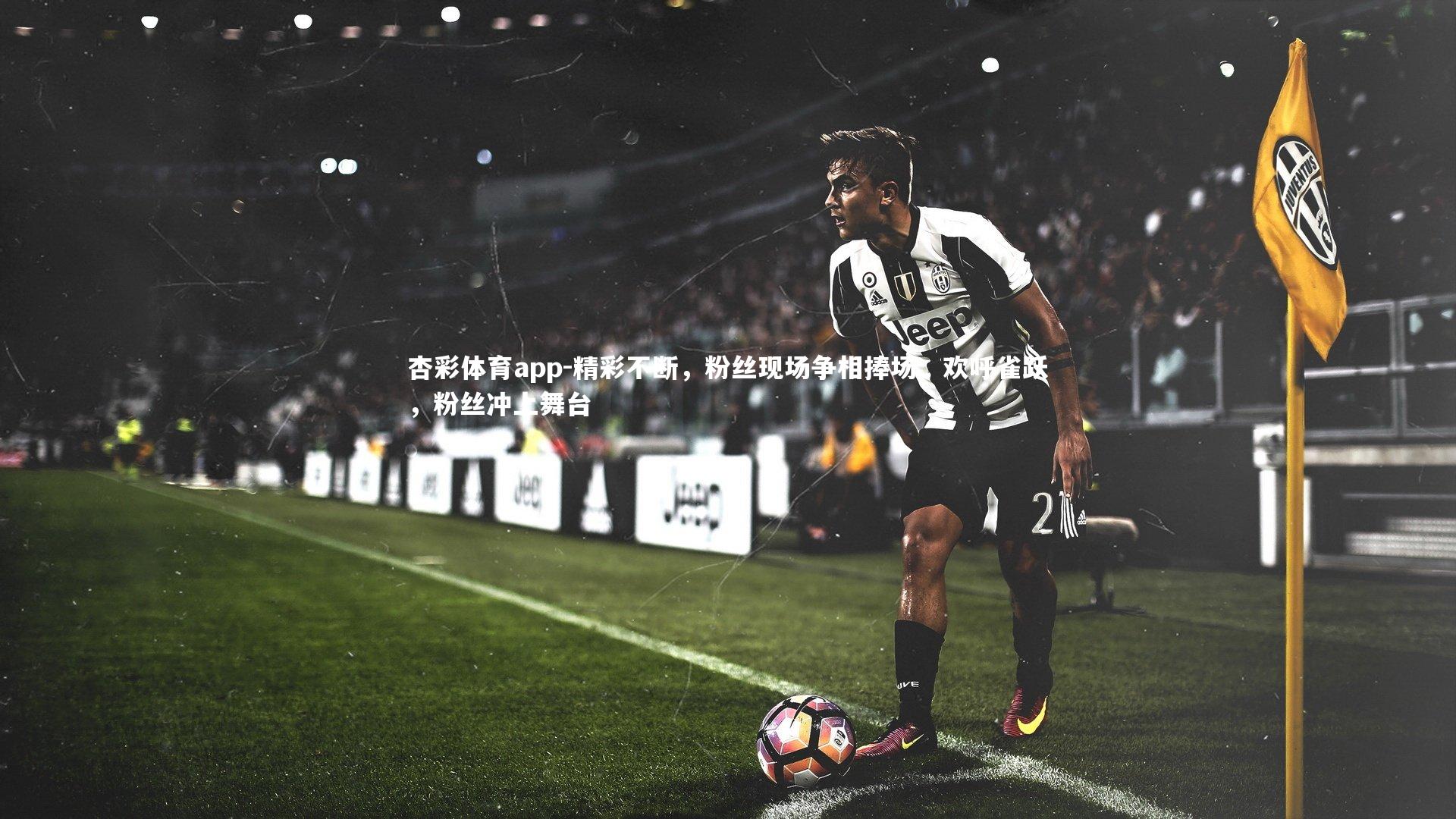 杏彩体育app-精彩不断，粉丝现场争相捧场、欢呼雀跃，粉丝冲上舞台